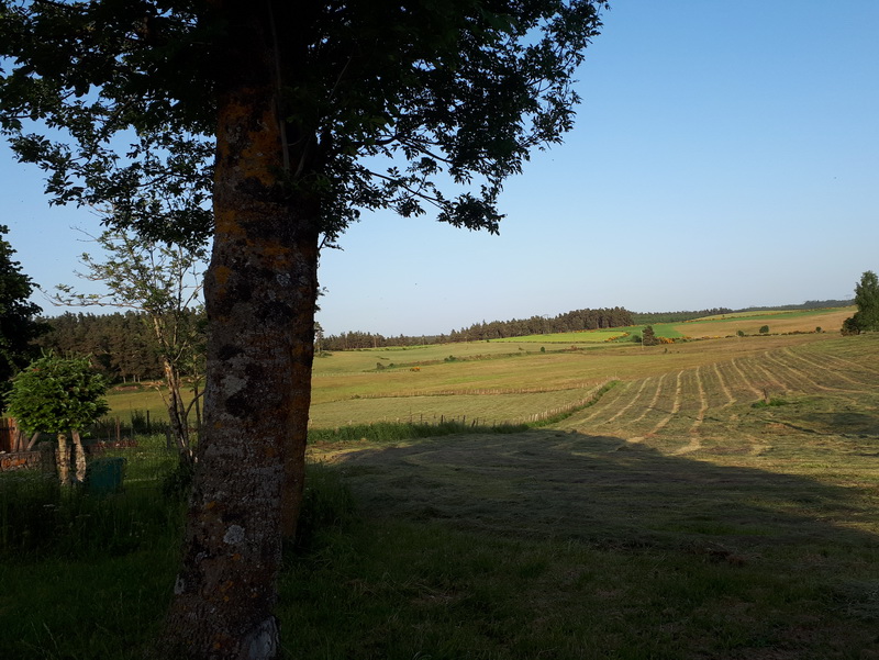 vue depuis le gite